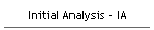 Initial Analysis - IA
